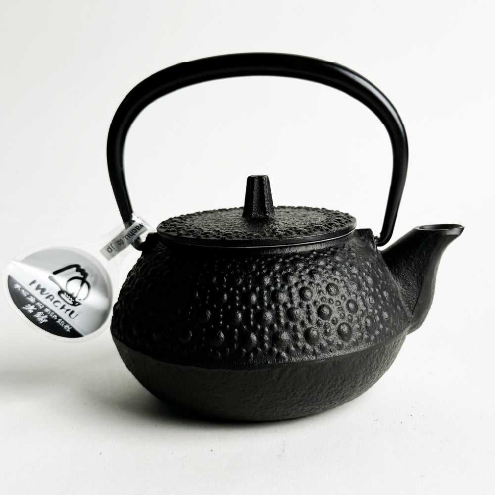 🫖 Rock casting|tortoise shell black ware|IWACHU southern ironware|iron pot|urgent need|iron bottle|tea making