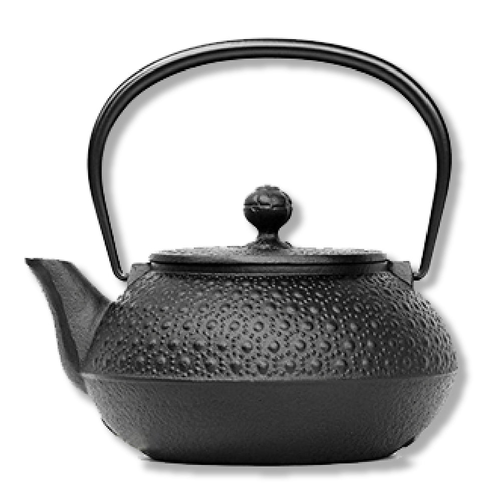 🫖 Rock casting|tortoise shell black ware|IWACHU southern ironware|iron pot|urgent need|iron bottle|tea making