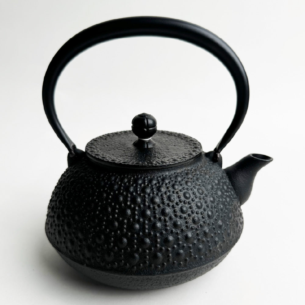 🫖 岩鑄|龜甲黑燒付|IWACHU南部鉄器|鐵壺|急需|鐵瓶|泡茶