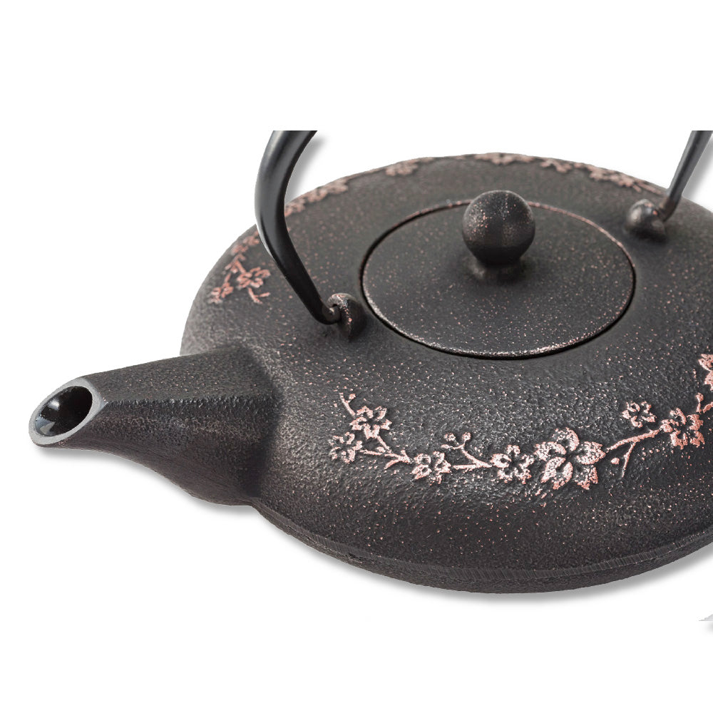 🫖 岩鑄|多色鑄鐵壺|0.6L 櫻花急須附濾網|南部鐵器|鐵壺|急需|鐵瓶|岩鑄|泡茶|琺瑯塗層|茶壺|有塗層