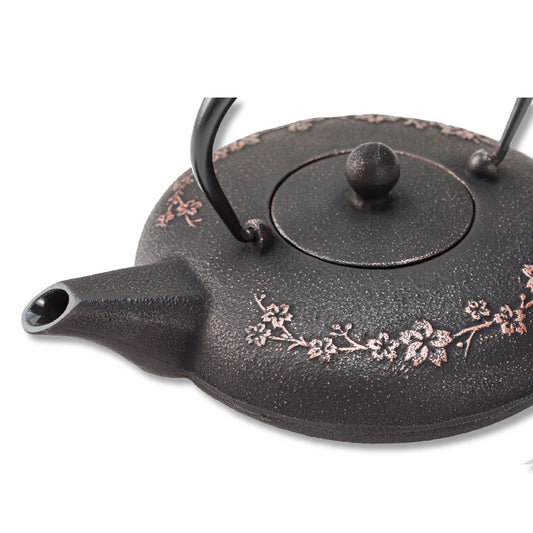 🫖 岩鑄|多色鑄鐵壺|0.6L 櫻花急須附濾網|南部鐵器|鐵壺|急需|鐵瓶|岩鑄|泡茶|琺瑯塗層|茶壺|有塗層