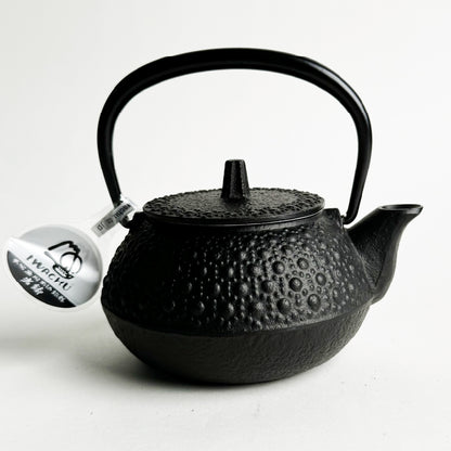 🫖 Rock casting｜tortoise shell black ware｜IWACHU southern ironware｜iron pot｜urgent need｜iron bottle｜tea making