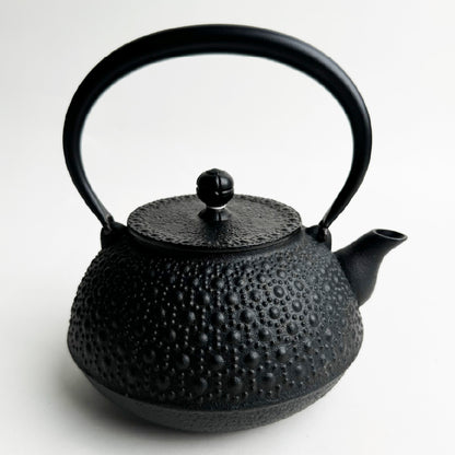 🫖 Rock casting｜tortoise shell black ware｜IWACHU southern ironware｜iron pot｜urgent need｜iron bottle｜tea making