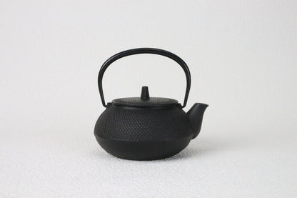 🫖 Rock Casting｜アラレBlack Shaded Fu｜IWACHU Southern Ironware｜Iron Kettle｜Urgently Needed｜Iron Bottle｜Making Tea