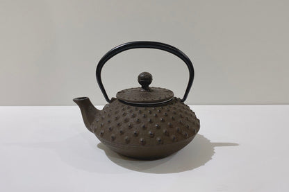 🫖 Rock Casting｜0.35L Type 3 Kyusuhira Araura｜Black｜Brown｜With strainer/Southern ironware/Iron kettle/Emergency/Iron bottle/Tea making/Enamel coating/Teapot/Cast iron kettle#12241#12041