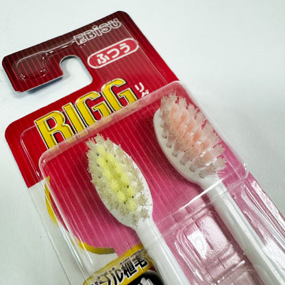 🇯🇵 EBISU toothbrush｜neutral toothbrush｜double set｜RIGG｜B-A74